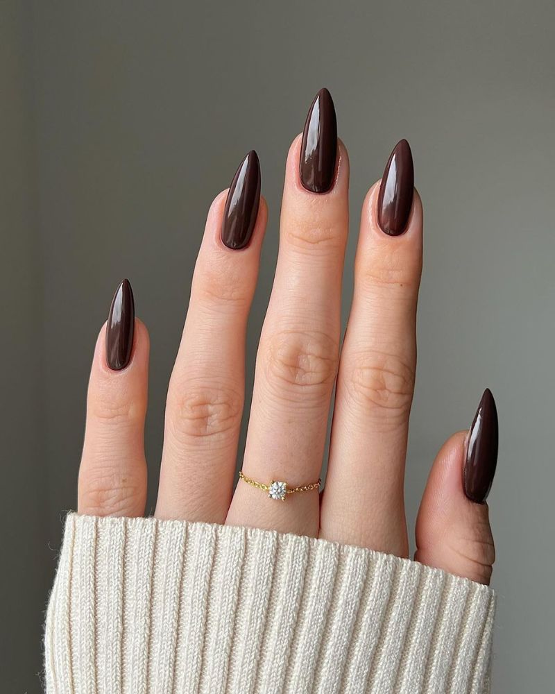 stiletto chocolate brown nails, dark brown nails