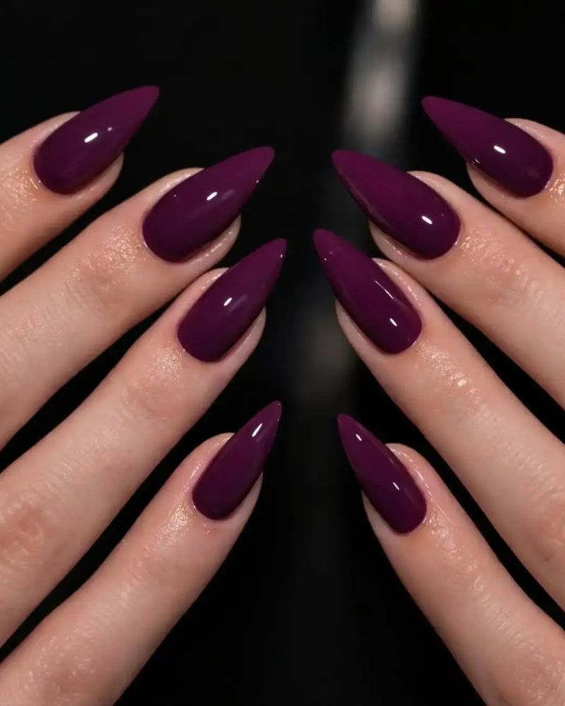 very dark deep plum stiletto nails high gloss dramatic black background